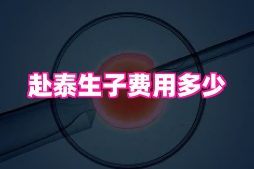 深圳助孕网站 3