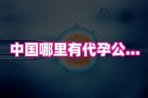 深圳助孕网站 4
